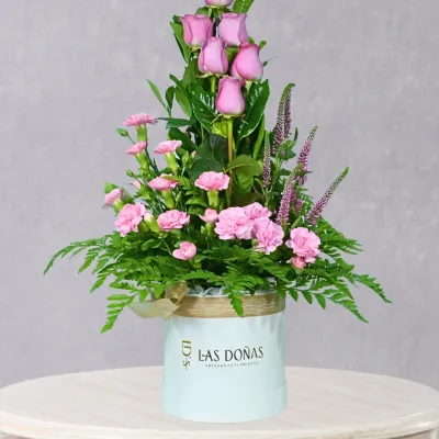storage/images/productos/269LdlERL1_61_1_11zon.webp