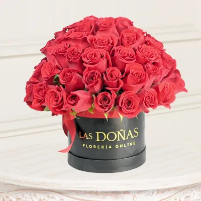 storage/images/productos/5ii3O9F0Mf_124_4_11zon.webp