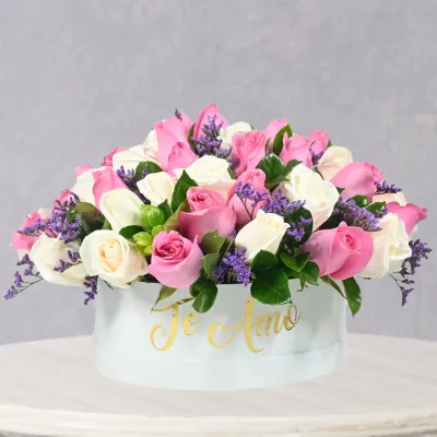 storage/images/productos/8jjlQA9FXA_7_7_11zon.webp