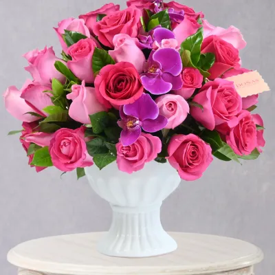 storage/images/productos/IywB7QuMks_98_8_11zon.webp