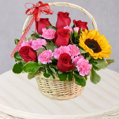 storage/images/productos/TUTTD41smN_429_1_11zon.webp