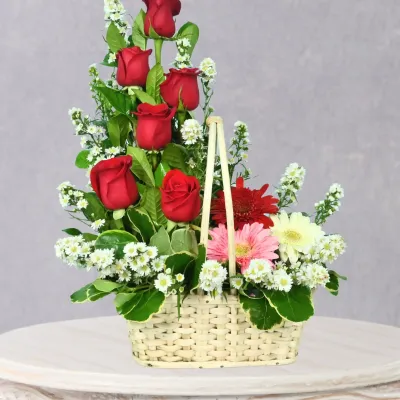 storage/images/productos/i2E9vOyKAU_63_3_11zon.webp
