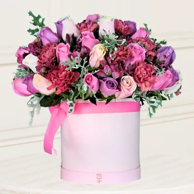 storage/images/productos/mRQP9x8DFf_157_7_11zon.webp